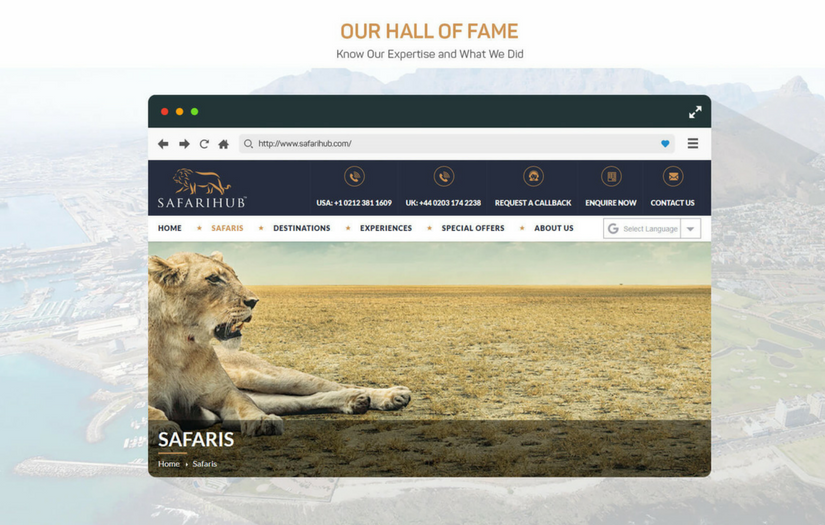 Safarihub Website screenshot 1